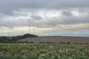 Der Sommer scheint vorbei zu sein – der Donnersbergkreis bietet einen herbstlichen Anblick.