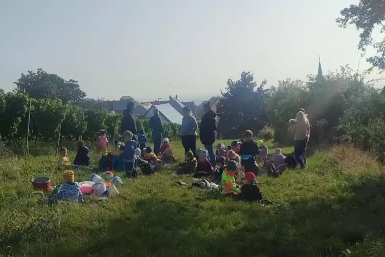 Im Wingert: Kindenheimer Kindergartenkinder. 