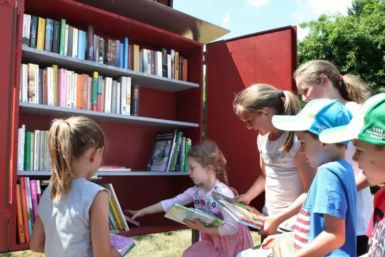 Öffentliche Bücherschränke gibt es bereits vielerorts.