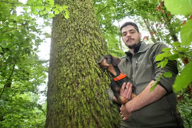 Nicola Herrmann ist für das Forstrevier Glantal zuständig. Auf dem Foto steht er mit Dackel Suvi vor einer zwischen 300 und 400 