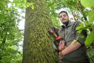 Nicola Herrmann ist für das Forstrevier Glantal zuständig. Auf dem Foto steht er mit Dackel Suvi vor einer zwischen 300 und 400