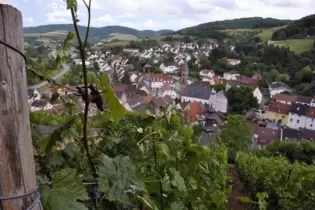 Reben über der Stadt: In Wolfstein wächst auch (wieder) Wein. Im kommenden Jahr wird gefeiert.