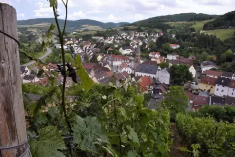 Reben über der Stadt: In Wolfstein wächst auch (wieder) Wein. Im kommenden Jahr wird gefeiert. 