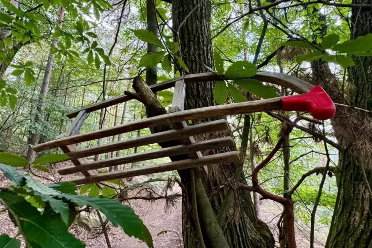 Schlitten im Baum: Gab es eine Bruchlandung? 