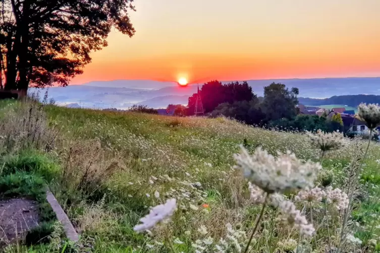 Zu jeder Tageszeit schön: der Blick von Eulenbis aus Richtung Donnersberg.