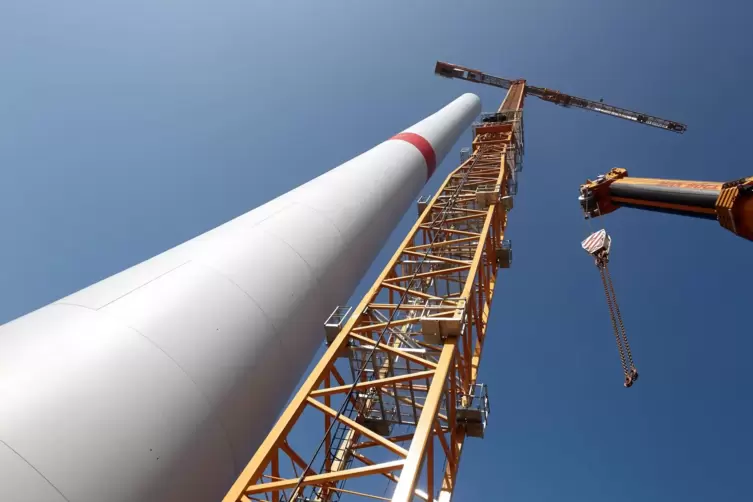 Im Norden von Rheinzabern sollen auf einer Fläche von 24 Hektar Windräder gebaut werden. 