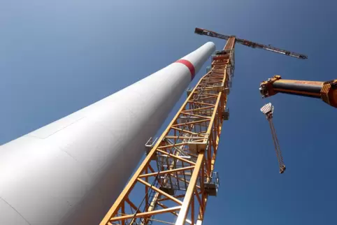 Im Norden von Rheinzabern sollen auf einer Fläche von 24 Hektar Windräder gebaut werden. 