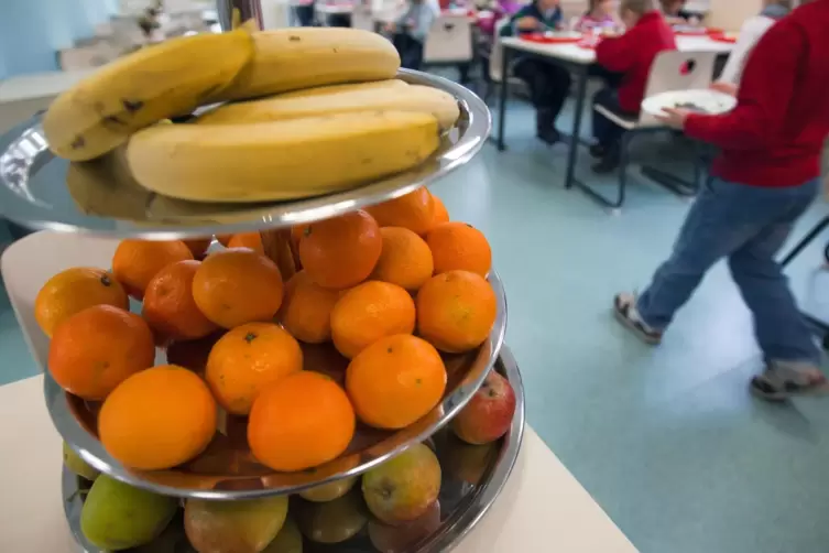 Der Gemeinderat Leimersheim hat vor geraumer Zeit den Um- und Anbau der Schulküche zu einer Mensa beschlossen. 