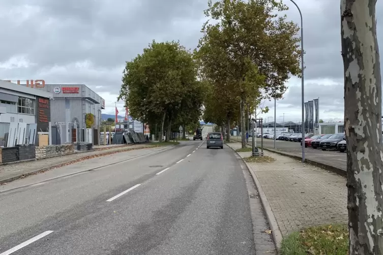 Die Herrenbergstraße in Landau soll im kommenden Jahr erneuert werden. 