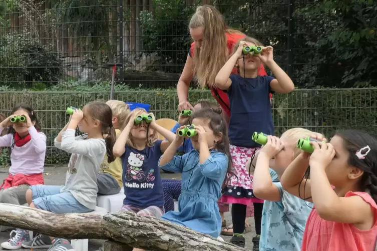 Die Zooschule ist schon wiederholt für ihre Umweltbildung gelobt worden. 