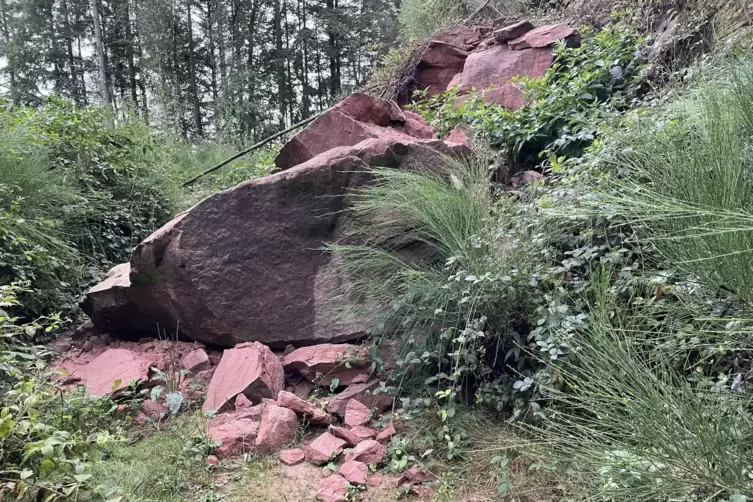 Seit einem halben Jahr liegt der abgestürzte Buntsandstein unberührt auf dem Waldweg. 