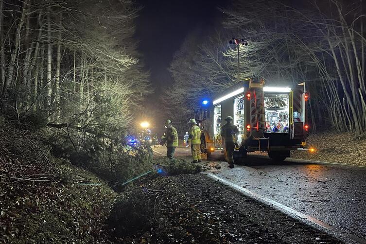 Schäden durch Orkantief „Sabine“ im Februar 2020: Die Feuerwehr musste damals umgekippte Bäume auf der Hoheneckerstraße in Kaise