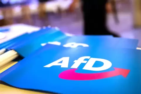 Abgeordnete des Bundestages machen mobil gegen die AfD. Ein Verbotsantrag liegt mittlerweile vor und sorgt für Diskussionen. 