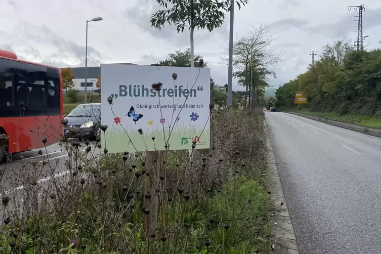 Nicht nur der Blühstreifen in der Brandenburger Straße ist Karl-Heinz Stengele ein Dorn im Auge. 