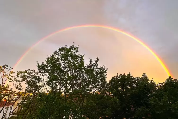 Die Regenschauer der letzten Zeit hatten auch manches Mal ihre guten Seiten. 