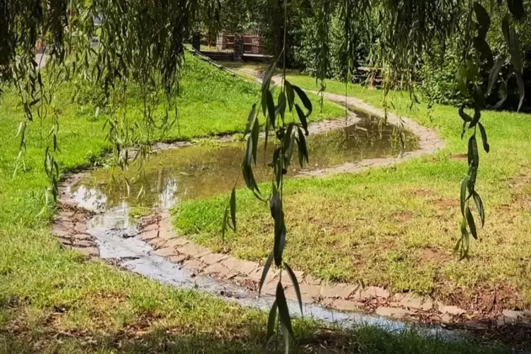 Der Ohmbach schlängelt sich entlang des Wegs.