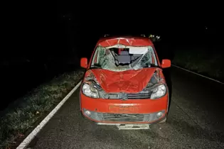 Das Auto erlitt einen Totalschaden, der Fahrer blieb aber unverletzt.