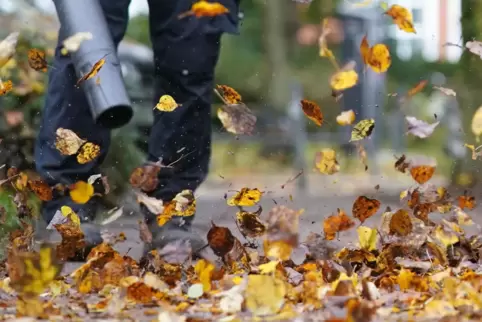 Das Herbstlaub gewinnt auf den Straßen die Oberhand. 