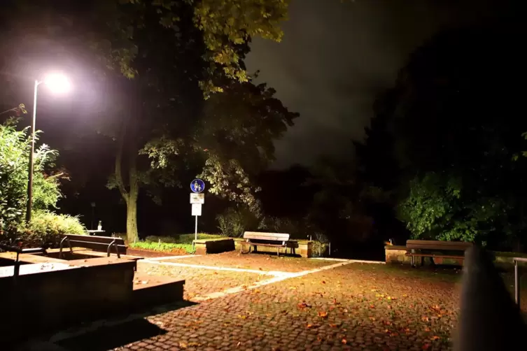 Der Goethepark ist in der Nacht fast unbeleuchtet. 