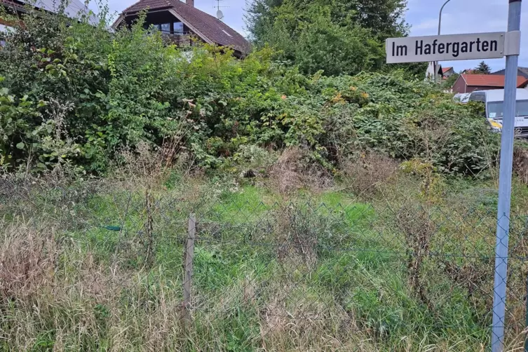 Kein schöner Anblick mehr: das einst von Freiwilligen angelegte und mit EU-Mitteln geförderte Biotop in Lautersheim.