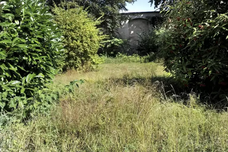 Durch Beschneidungen von Bäumen und Büschen soll verhindert werden, dass der Wald näher an den Ort rückt.