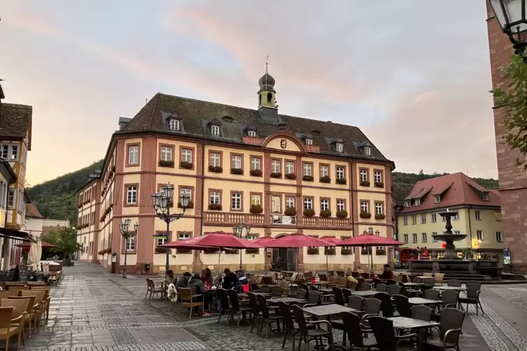 Wer ab 2026 als Oberbürgermeister im Rathaus sitzt, entscheiden die Neustadter in etwa einem Jahr. 