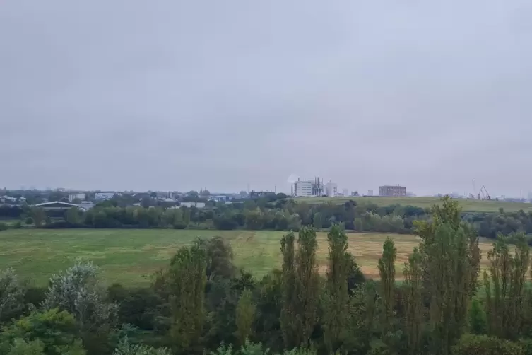 Die Deponie „Hoher Weg“ in Rheingönheim wird erweitert. 