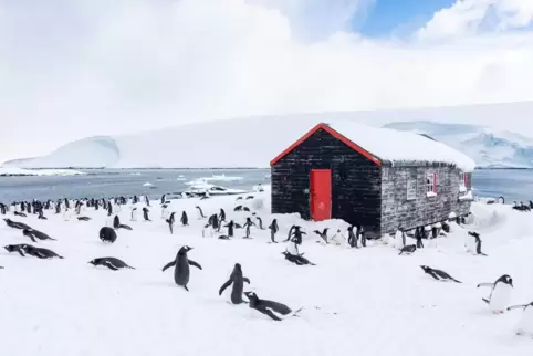 Auf der britischen Antarktis-Station Port Lockroy befindet sich das einzige Postamt des Kontinents. 