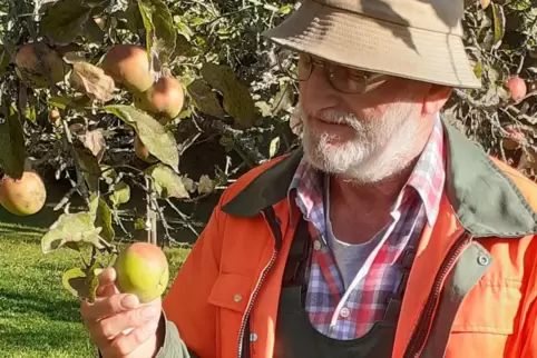 Die Apfelernte auf den Streuobstwiesen wird laut Ewald Marschall voraussichtlich Ende Oktober abgeschlossen sein. 