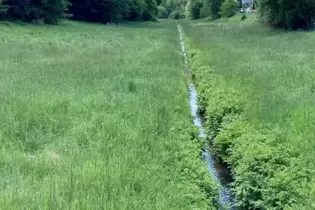 Wiesen als Rückstauflächen bei Starkregen, das ist keine neue Idee. Aber ist die Talaue vor Salzwoog geeignet? Da sind Experten