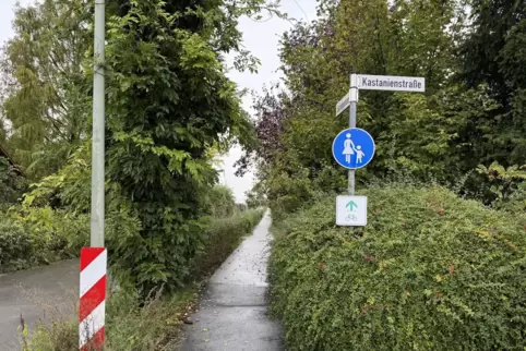 Am Beginn der neuen Fahrradstraße, von der Kastanienstraße aus, weist ein Schild auf den Gehweg hin. Dass es sich um eine Fahrra