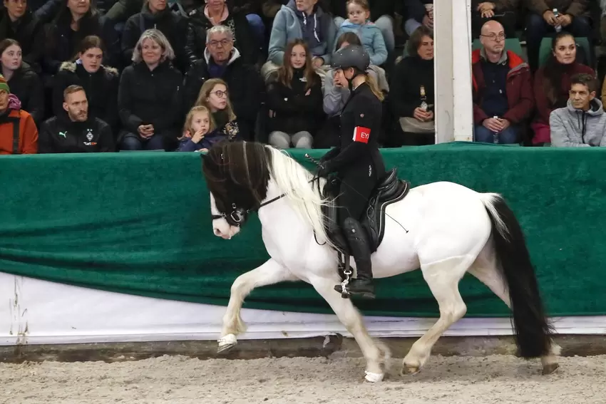 Szene aus der schweren Viergangprüfung ?V2": Katrin Reinert aus Weierweiler wurde Siegerin.