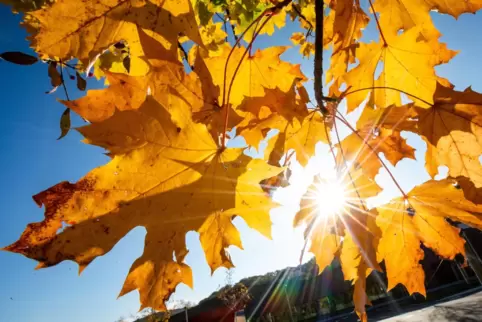 Milde Temperaturen laden zu einem Herbstspaziergang ein.