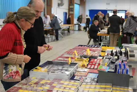 Manche der Besucher sammeln seit Jahrzehnten Münzen.