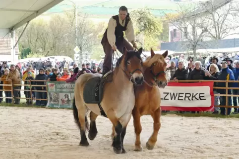 Beim Pferdemarkt in Quirnbach gibt es auch ein großes Pferde-Showprogramm. Im vergangenen Jahr trat beispielsweise Sarina Kriese