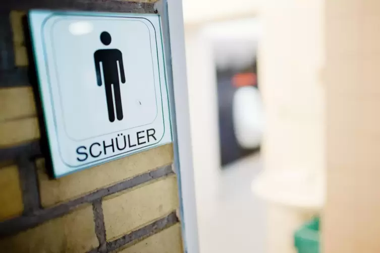 Dass es in manchen Schultoiletten übel aussieht, liegt auch an den Nutzern. 