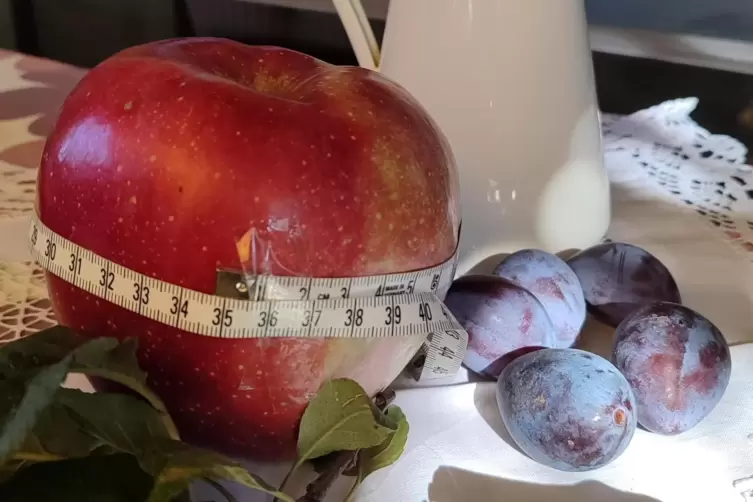 36 Zentimeter Durchmesser und 532 Gramm schwer: der Apfel von Elke und Bernhard Sona.