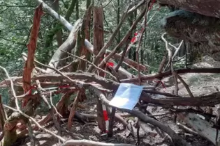 Verschiedene Arten von Sperren sind aufgebaut worden. Wanderer schlagen sich durch den Wald oder brechen die Tour auf dem Holzsc