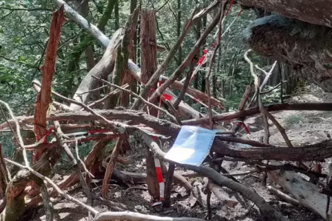 Verschiedene Arten von Sperren sind aufgebaut worden. Wanderer schlagen sich durch den Wald oder brechen die Tour auf dem Holzsc