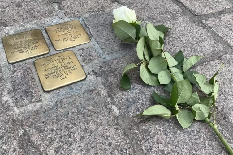 Stolpersteine in Speyer: siebte Verlegung.