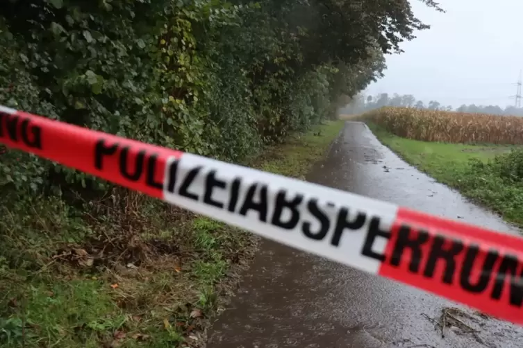 Auf diesem Feldweg im Mannheimer Süden ist die Frauenleiche am Montagmorgen entdeckt worden.