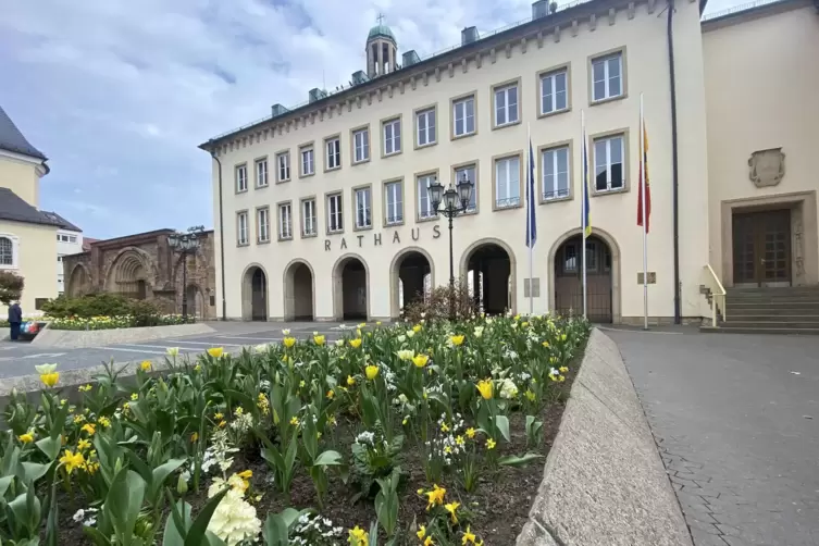 Werden regelmäßig gesäubert: die Hochbeete auf dem Rathausplatz.