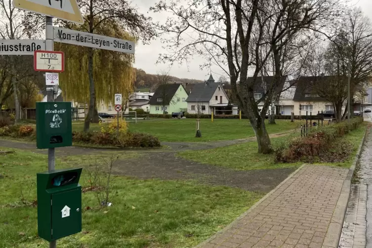 Entlang der Von-der-Leyen-Straße in Glan-Münchweiler sollen eine 70 Meter lange Hecke und Bäume gepflanzt werden.