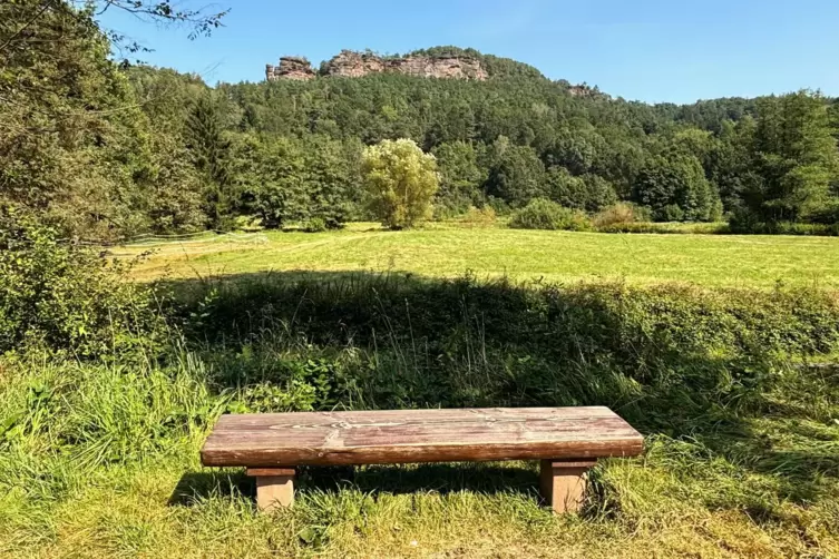 Bizarre Felsenkulisse entlang des Wieslauterradweges.