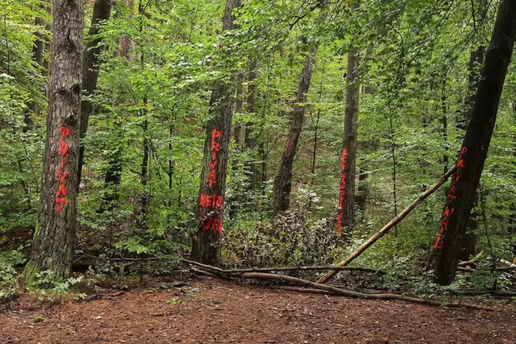 „Kein Weg“ steht mit roter Farbe auf den Bäumen am Holzschuhpfad bei Busenberg. 