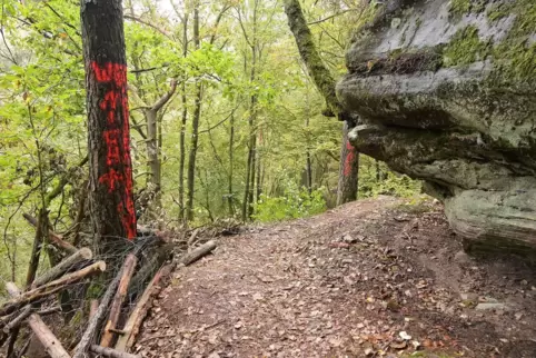 Ein Grundstücksbesitzer sperrt den Holzschuhpfad immer wieder ab. Hier haben Gemeindearbeiter das Hindernis beiseite geräumt. 