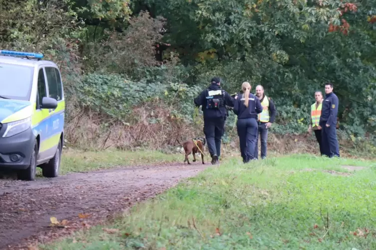 Dieser Feldweg und ein angrenzendes Wäldchen wurden unter anderem mit einem Spürhund nach Spuren abgesucht.