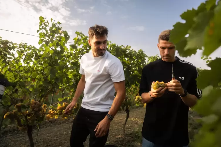 Ein ungewöhnliches Bild: Mats Hummels und Robin Gosens bei der Weinlese im Zellertal. 