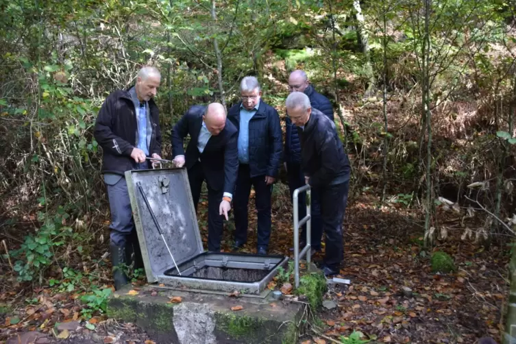 Der Saarbunnen zwischen Ludwigswinkel und Eppenbrunn soll an die Oberfläche geholt werden. Um das Projekt zu erläutern, kamen zu