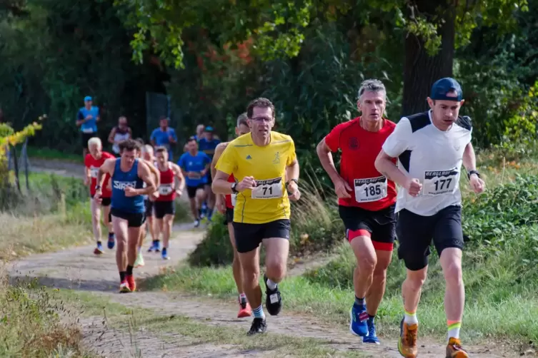 Der Bad Dürkheimer Berglauf führt über 8,7 Kilometer auf den Peterskopf. 